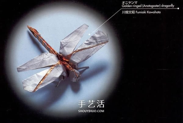 Handmade origami realistic dragonfly illustration, how to fold a paper dragonfly