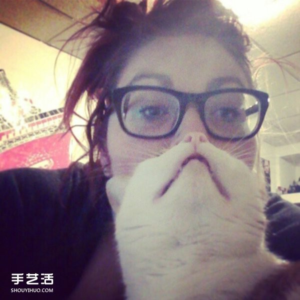 Funny selfie photos using pet cats to create cute beards