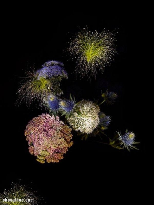 Flowerwork Flower fireworks designed by German artist