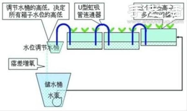 Super detailed hydroponic vegetable growing tutorial, you can grow vegetables conveniently at home! 