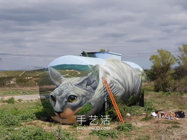 A street artist uses spray paint to transform a gas tank into a sphinx catAdult Sphynx Cat