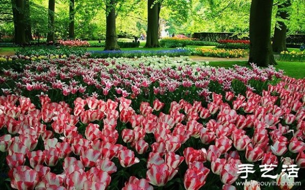 The most beautiful garden in spring - Keukenhof Park