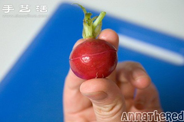 Super simple DIY Mario production with water radish