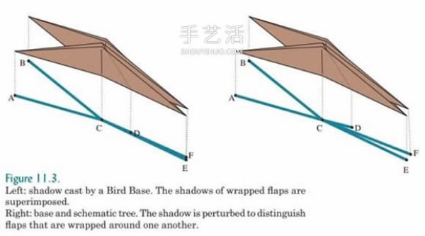 Basic knowledge of origami design also includes an introduction to origami technology and snake belly