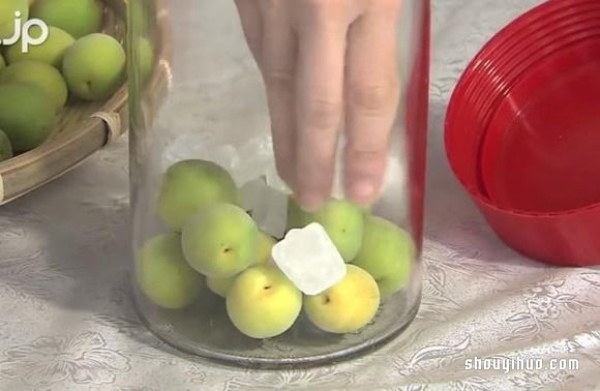 Tutorial on how to DIY your own refreshing plum drink and plum juice