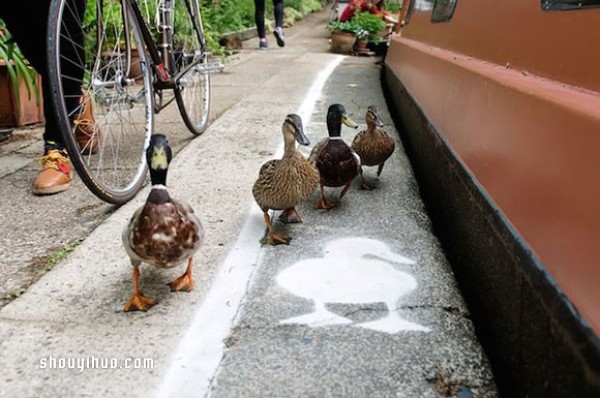 The "Duck Walk" beside the British canal shows the gentlemans character