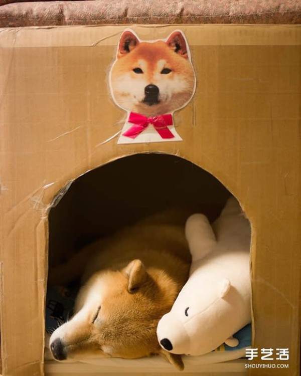 The Akita dog and its white bear best friend are sleeping in the same posture, so cute! 