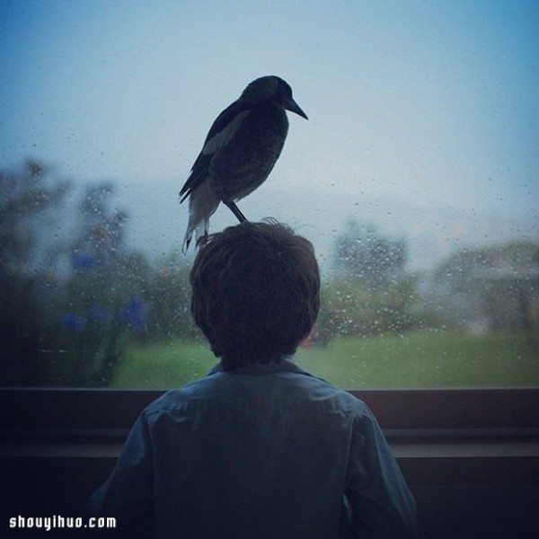 The heart-warming story of the little boy Noah and the magpie Penguin