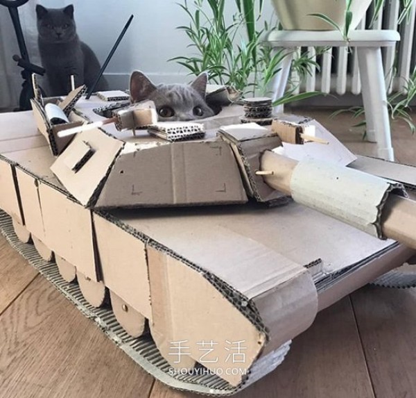 People in quarantine make cardboard tanks for cats