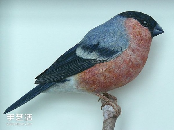 Pictures of master-level bird paper models with detailed paper bird models