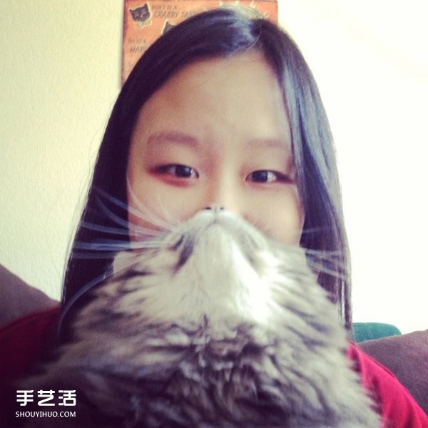 Funny selfie photos using pet cats to create cute beards