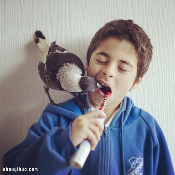 The heart-warming story of the little boy Noah and the magpie Penguin