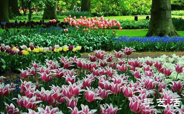 The most beautiful garden in spring - Keukenhof Park