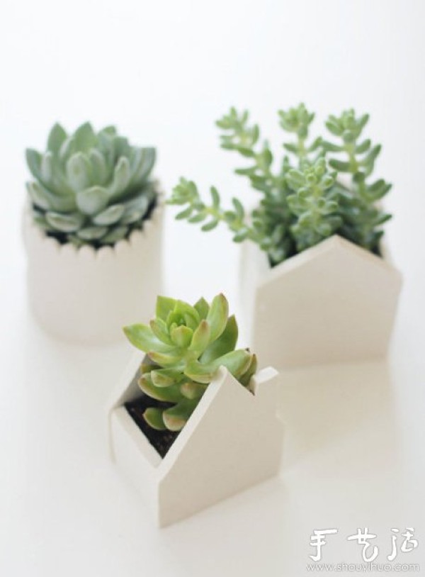 DIY creative succulent potted clay pot