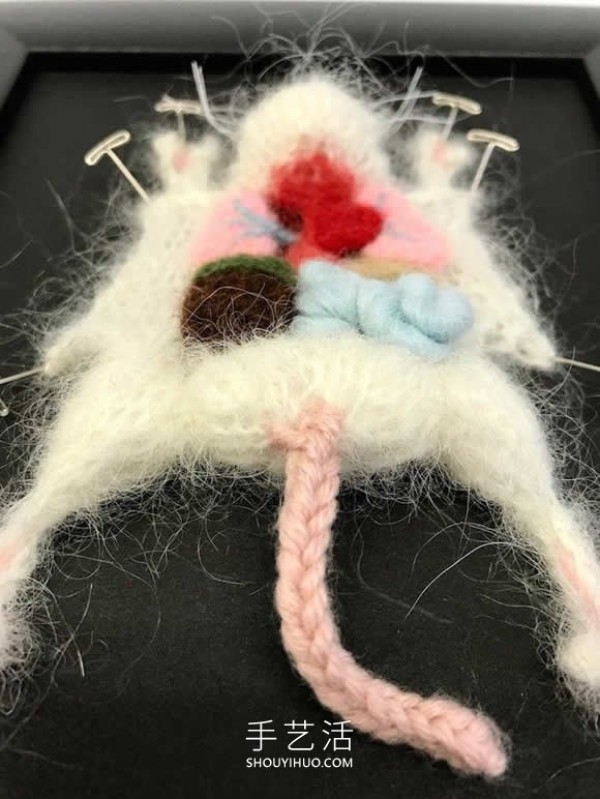 Animal anatomy knitted works! Turn anatomy scenes into cute displays