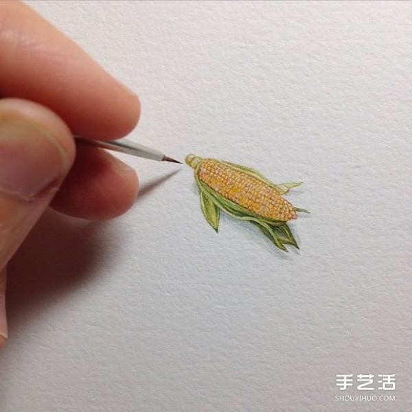 Fine miniature illustrations challenge the limits of detail