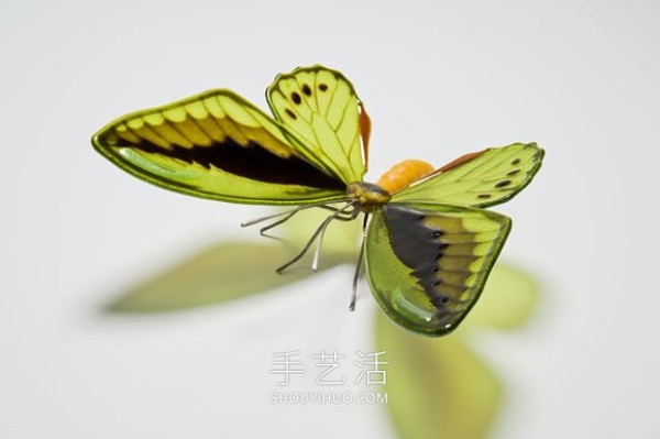 Realistic butterfly glass sculpture! Based on the endangered butterfly