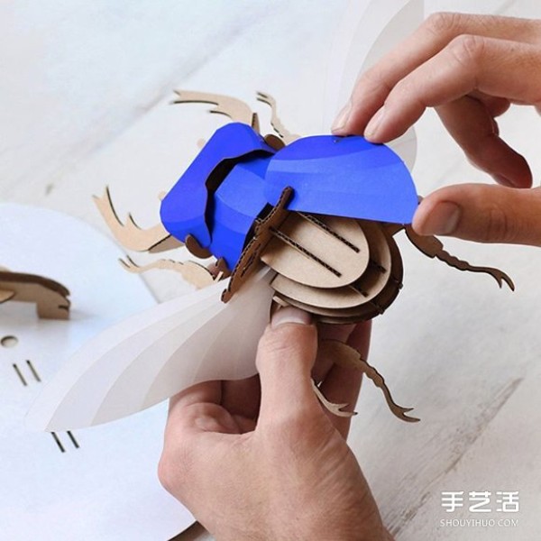 3D insect paper sculptures allow you to regain the fun of hand-making through puzzles