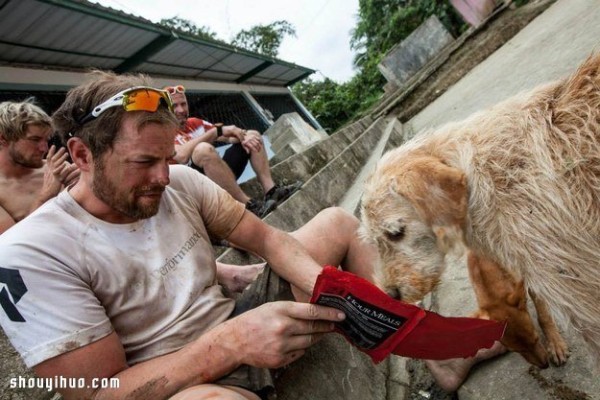 A touching story about an extreme athlete meeting a stray dog