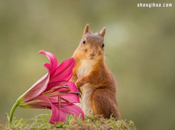 The scenery seen from the window of my house: the funny squirrel paradise!