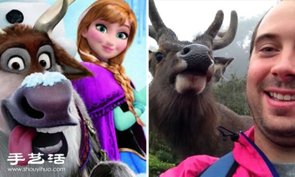 Funny selfies of real-life humans and animals in animated scenes