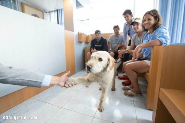 A touching story about an extreme athlete meeting a stray dog