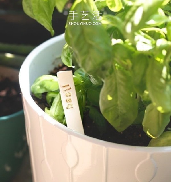 How to make plant signs in kindergarten