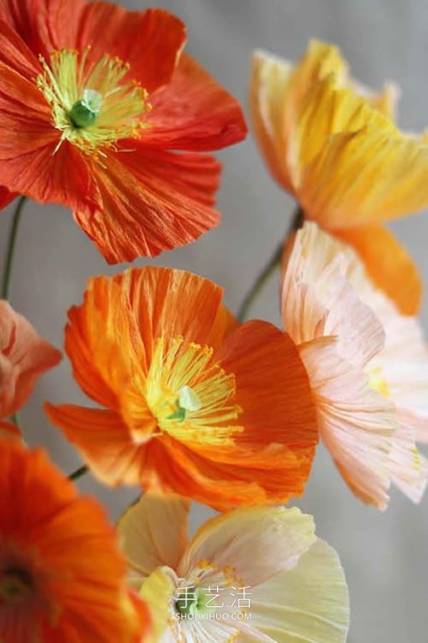 Tutorial on how to make poppies with crepe paper