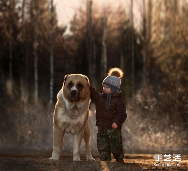 Appreciation of heart-warming photography of a cute little boy and animals