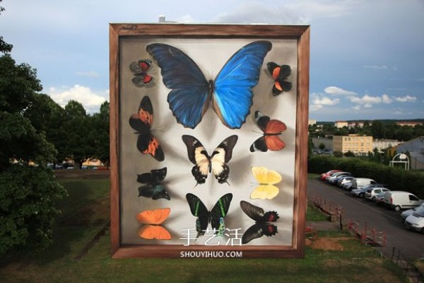 Giant wall graffiti turned the entire apartment wall into butterfly specimens