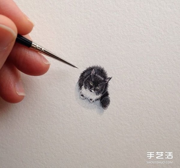 Fine miniature illustrations challenge the limits of detail