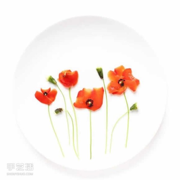 Art on the Plate uses vegetable and fruit kitchen waste to create a culinary canvas