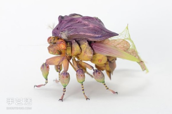 The psychedelic elf insect sculptures seem to only appear in dreams