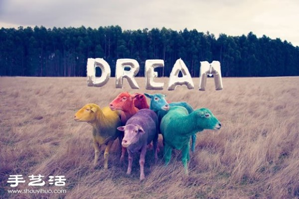 Fantasy Color Sheep Photography "DREAM SERIES"