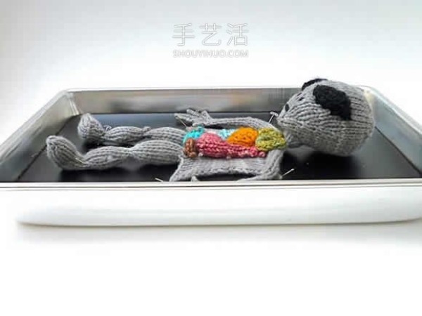 Animal anatomy knitted works! Turn anatomy scenes into cute displays