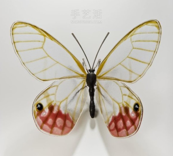 Realistic butterfly glass sculpture! Based on the endangered butterfly