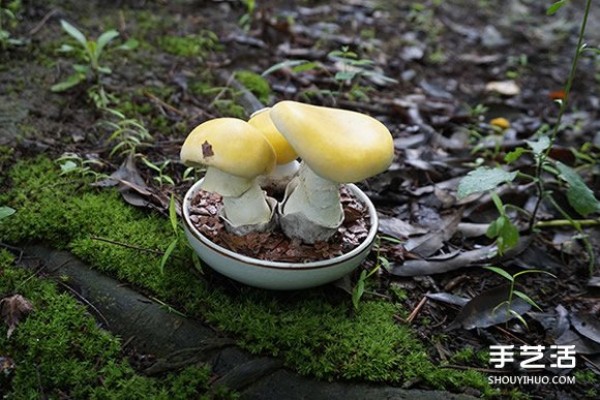 Appreciation of realistic clay mushroom works, it looks so healing! 