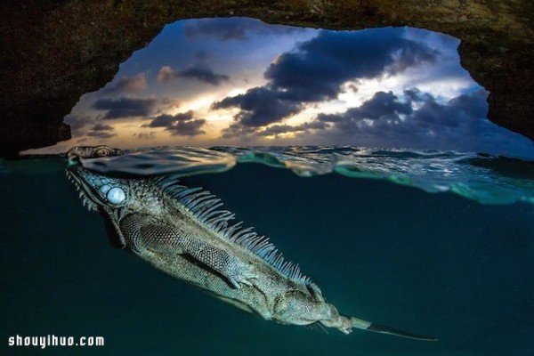 Appreciation of the entries in the 2014 National Geographic Photography Contest