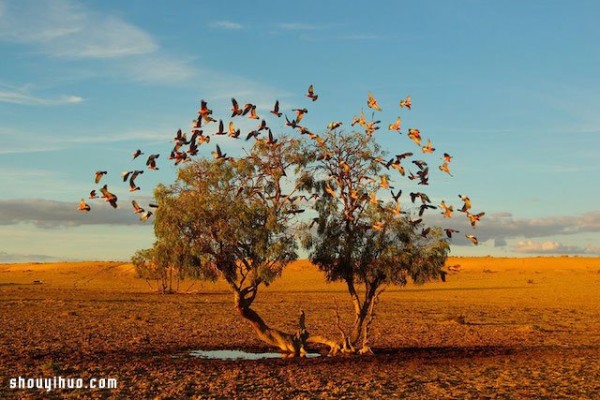 Appreciation of the entries in the 2014 National Geographic Photography Contest