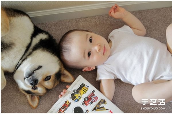 Photography of a cute little boy and his best dog friend