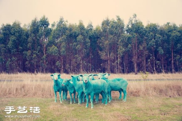 Fantasy Color Sheep Photography "DREAM SERIES"