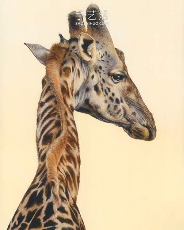 Hyper-realistic oil painting, capturing the wild and natural beauty of wild animals