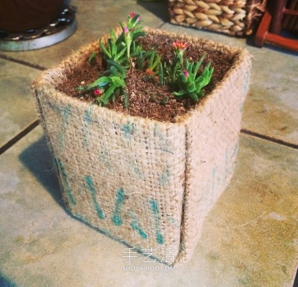 Use burlap from milk carton waste into succulent plant pots