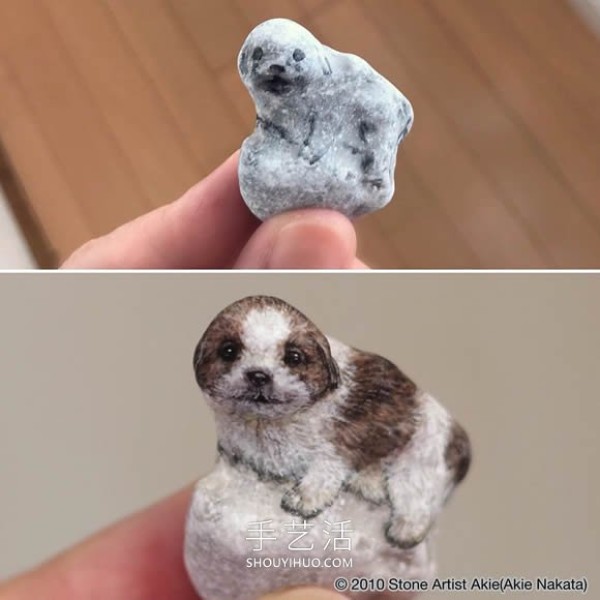 Japanese artist transforms ordinary rocks into highly realistic animals