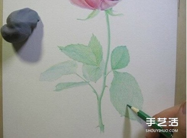 How to draw a rose with colored lead, step-by-step tutorial on how to draw a rose with colored pencils