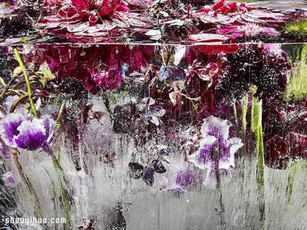 Creative DIY photography of frozen flowers and plants is as beautiful as an oil painting! 