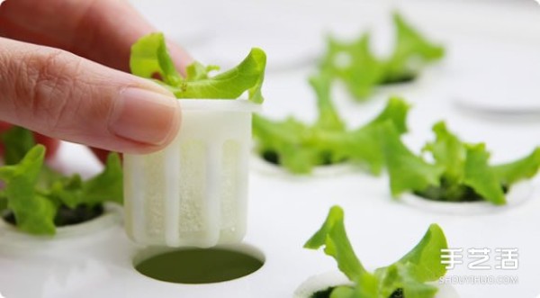 Foop, a small indoor vegetable garden that allows you to easily grow vegetables at home