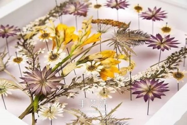 Use pressed flowers to retain the beauty of spring! Dried flower making and pressed flower decorative painting DIY