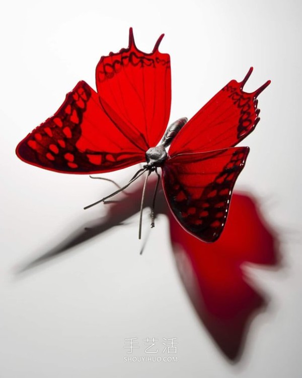 Realistic butterfly glass sculpture! Based on the endangered butterfly