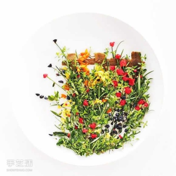 Art on the Plate uses vegetable and fruit kitchen waste to create a culinary canvas